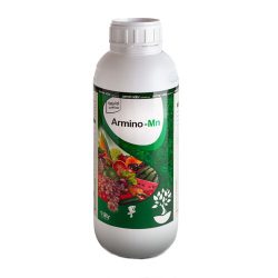 آرمینو منگنز