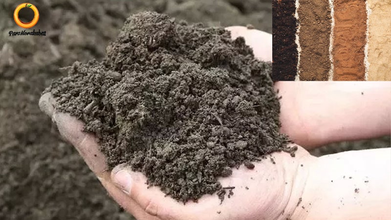 خاک مناسب لومی